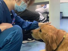 -特一安24小时宠物医院·骨科·中兽医
