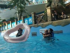 -青岛东方影都融创水世界