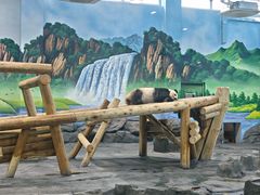 -秦皇岛野生动物园