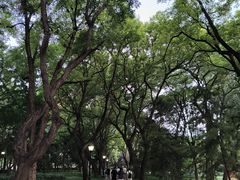-玲珑塔公园