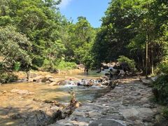 -广州白江湖森林公园