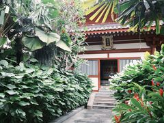 -新加坡佛牙寺龙华院