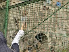 -南京金牛湖风景区