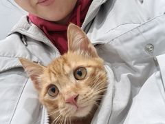 -关爱宠物医院·猫科中心·消化科(滨湖万达分院)