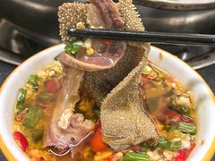 -金鼎雪山牦牛杂火锅(理县总店)