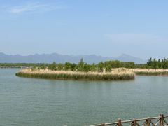 -野鸭湖国家湿地公园