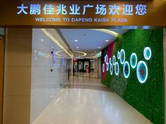 -大鹏佳兆业广场