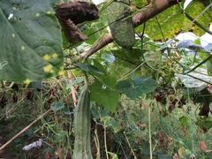 -邹记·美食(斗门店)