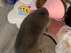-联合动物医院(光谷诊疗中心)
