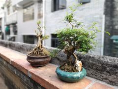 -荔湾博物馆