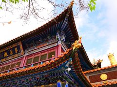 -大召寺明清一条街