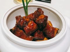 红烧肉-蝶园·装修中(BFC外滩金融中心店)