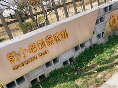 -前小桔亲子创意农场·草莓采摘·露营烧烤