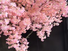 -巴斯漫温泉汗蒸馆(贡湖大道店)