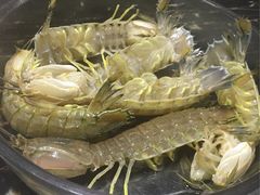 -渔傅·蓝海岸霞浦海鲜(正祥店)