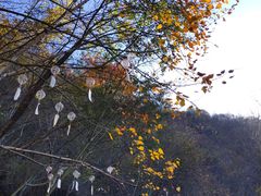 -少华山国家森林公园
