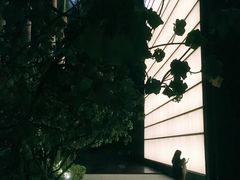 -三亚太阳湾柏悦酒店
