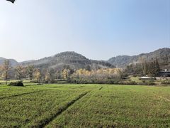 -千年银杏谷文化旅游区