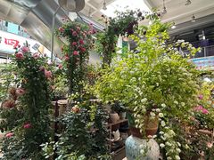 -双季花艺园艺市场(浦东店)