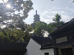 -苏州上方山国家森林公园