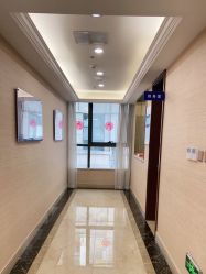 -碧莲盛·不剃发植发