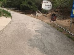 -白水寺森林公园