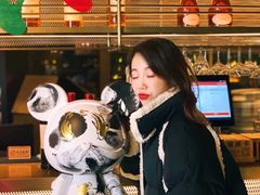 -凤凰湘语(浦东旗舰店)