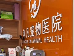 -创凡宠物医院·骨专科  猫科中心(西乡分院)