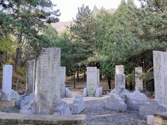 -北京鹫峰国家森林公园