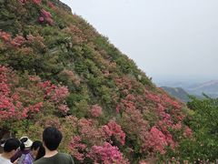 -木兰云雾山