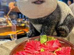 -冯校长老火锅(福田车公庙店)