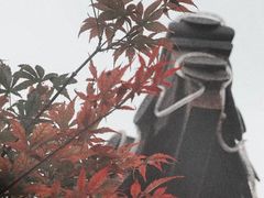 -东关街美食广场