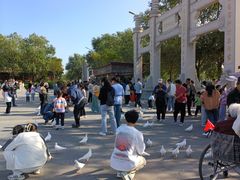 -天津妈祖文化园