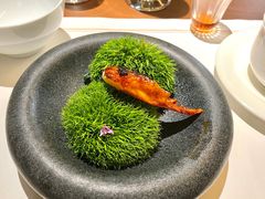 -觀芷隐轩