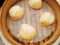 -金粤九号(李公堤店)