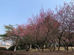 -白塘生态植物园