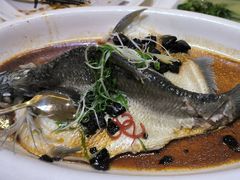 -陶缘一号·四季缘·老字号顺德菜·户外婚礼家宴(西滘店)