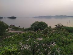 -上海市保健医疗中心(华东疗养院)