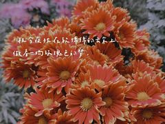 -杭州植物园