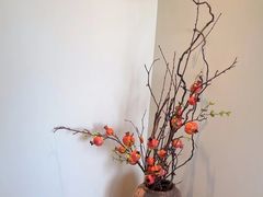 -小茶闲舍·观景商务茶馆(广州塔店)