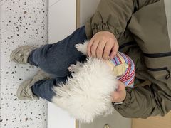 -瑞派康怡24h宠物医院·犬猫医疗中心·微创绝育(瑞景分院)