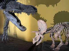 -湖南省地质博物馆