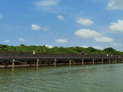 -东寨港红树林旅游区