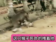 -昆明动物园