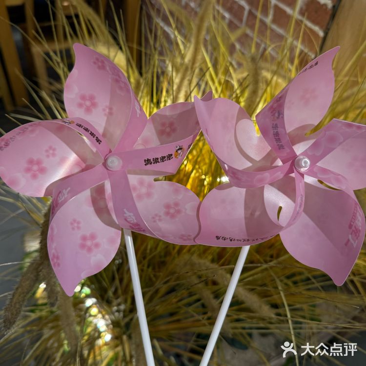 谁还不知道破破烂烂家的樱花季🌸！