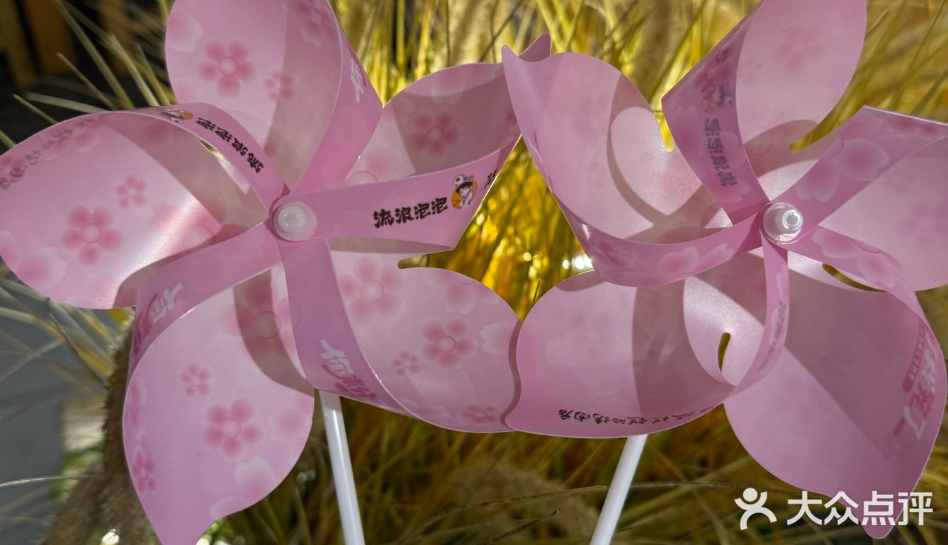 谁还不知道破破烂烂家的樱花季🌸！