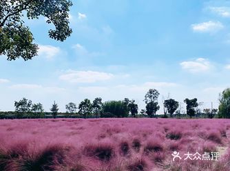 从宝山开过去40分钟不堵的话，还是蛮方便的