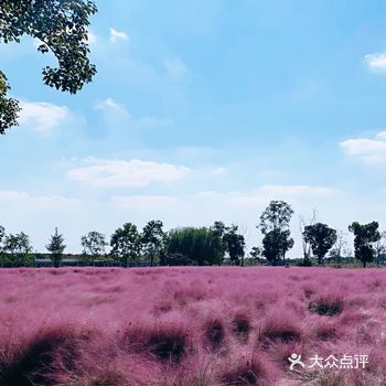 从宝山开过去40分钟不堵的话，还是蛮方便的