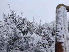 -金子山原生态旅游风景区