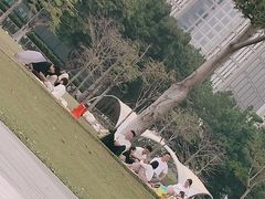 -二沙岛艺术公园